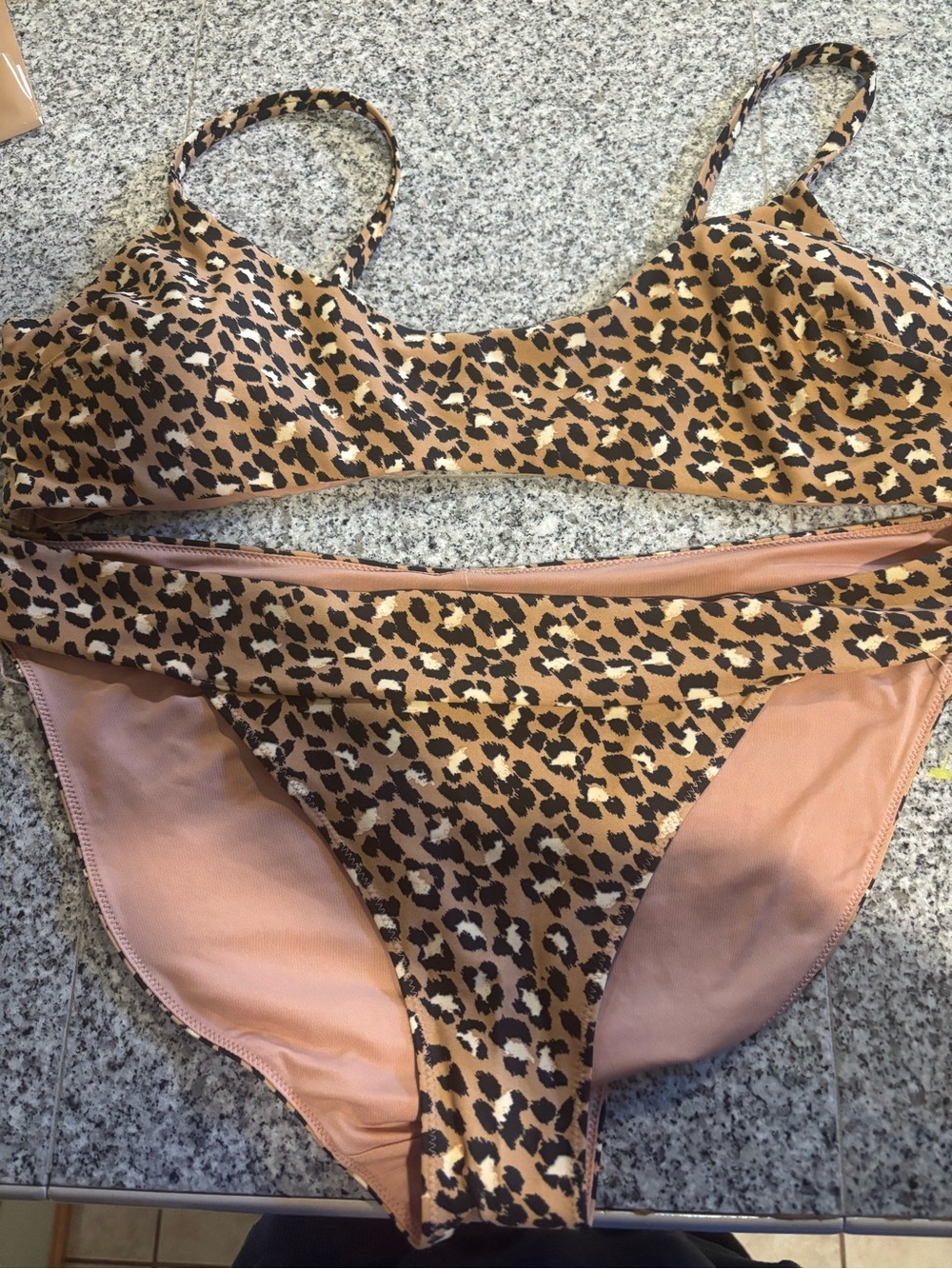 aerie Leopard Print Bikini Set